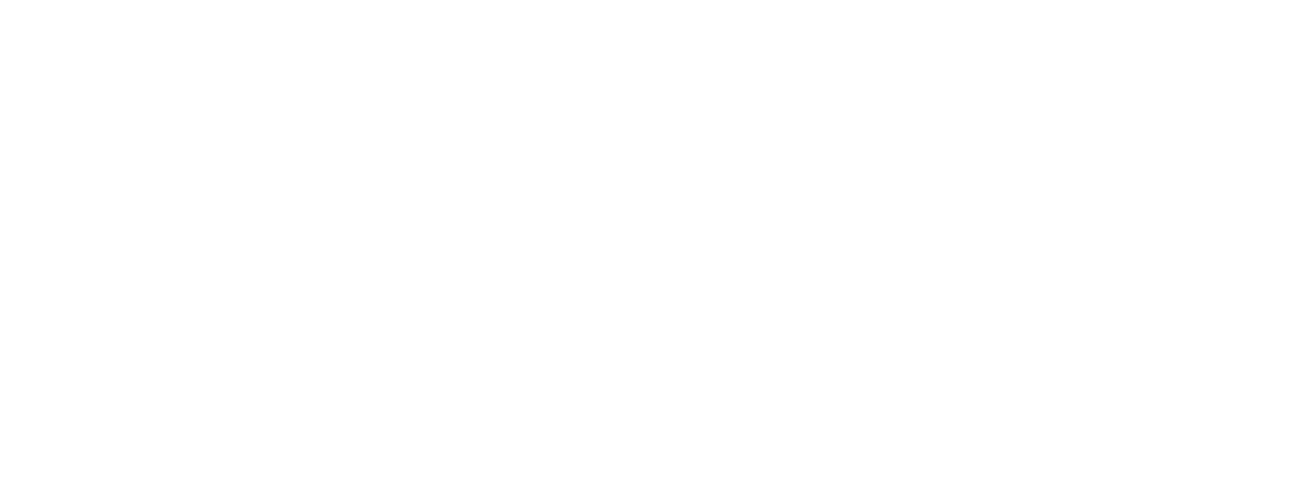The Chaos Company